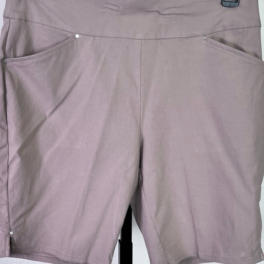 INC International Concepts Beige Trousers